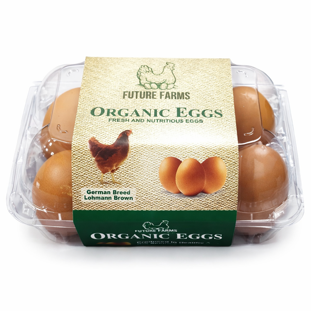 Pack of 6 - Lohmann Brown Eggs
