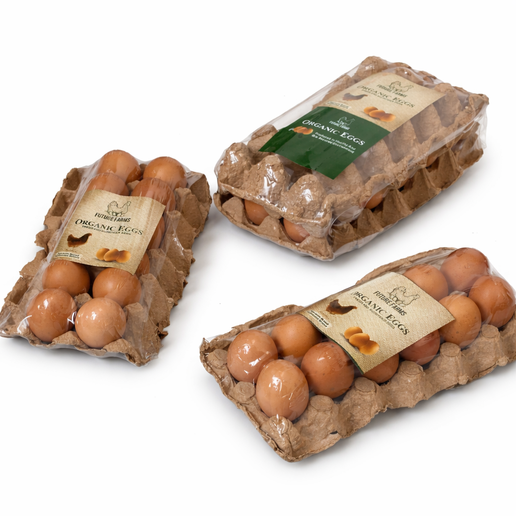 Pack of 12 - Lohmann Brown Eggs