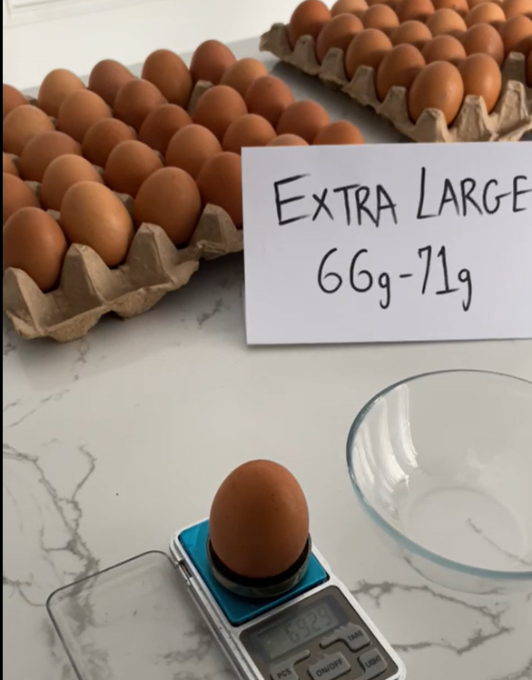 Pack of 12 - Lohmann Brown Eggs