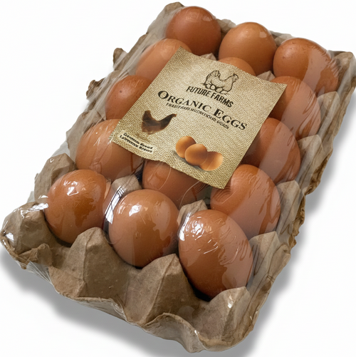 Pack of 15 - Lohmann Brown Eggs