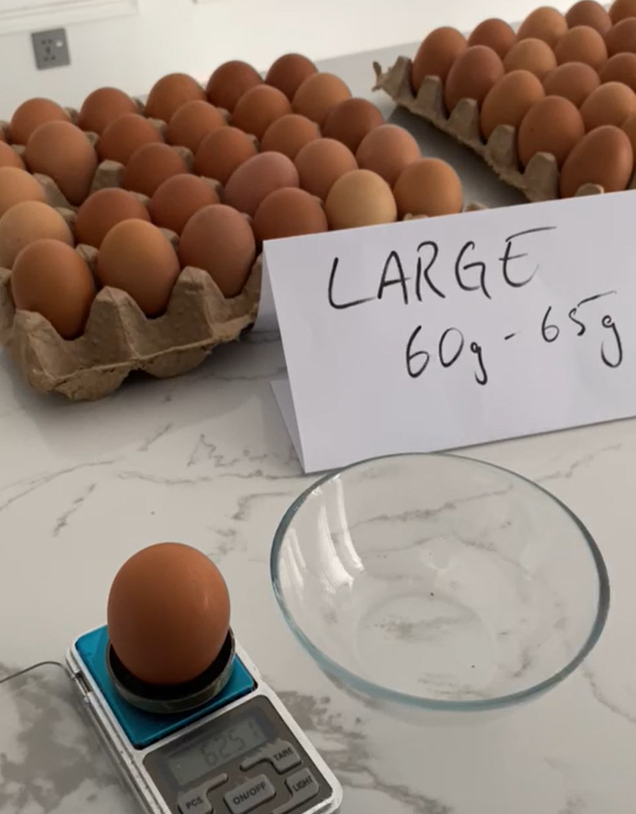 Pack of 12 - Lohmann Brown Eggs